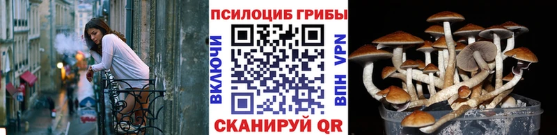 сайты даркнета формула  где купить наркоту  Сосногорск  Псилоцибиновые грибы мицелий 